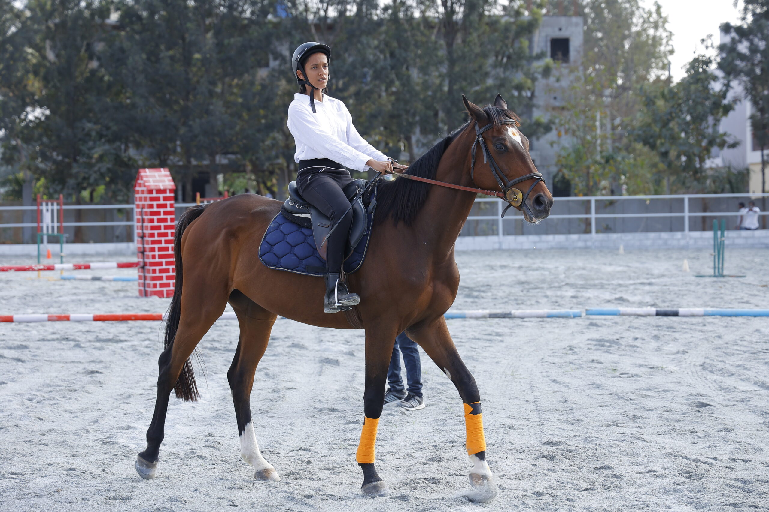 best horse riding school in bangalore